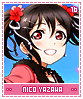 nicoyazawa16