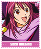 soranaegino17